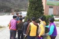 봄에 되어 꽃이 피기 시작합니다(원예교실)