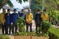 (2020년 6월)원예프로그램.